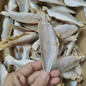 Khô cá đổng loại ngon nhà làm, cá đổng Shop Khô Phan Thiết